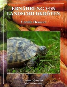 Ernährung von